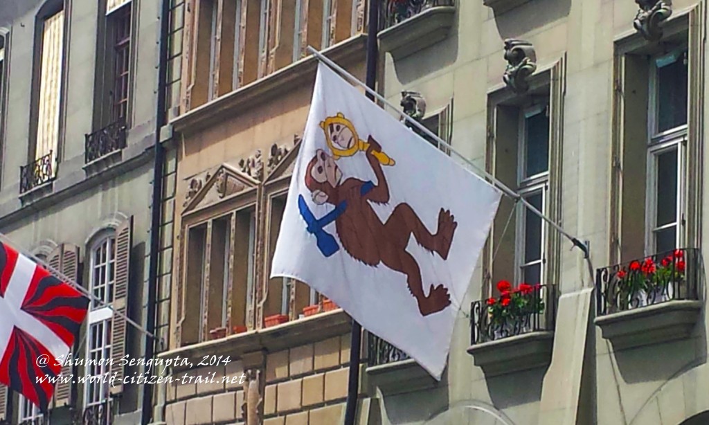 monkey flag